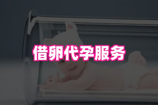 福建助孕网 1