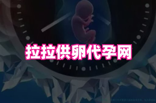 福建助孕网 3